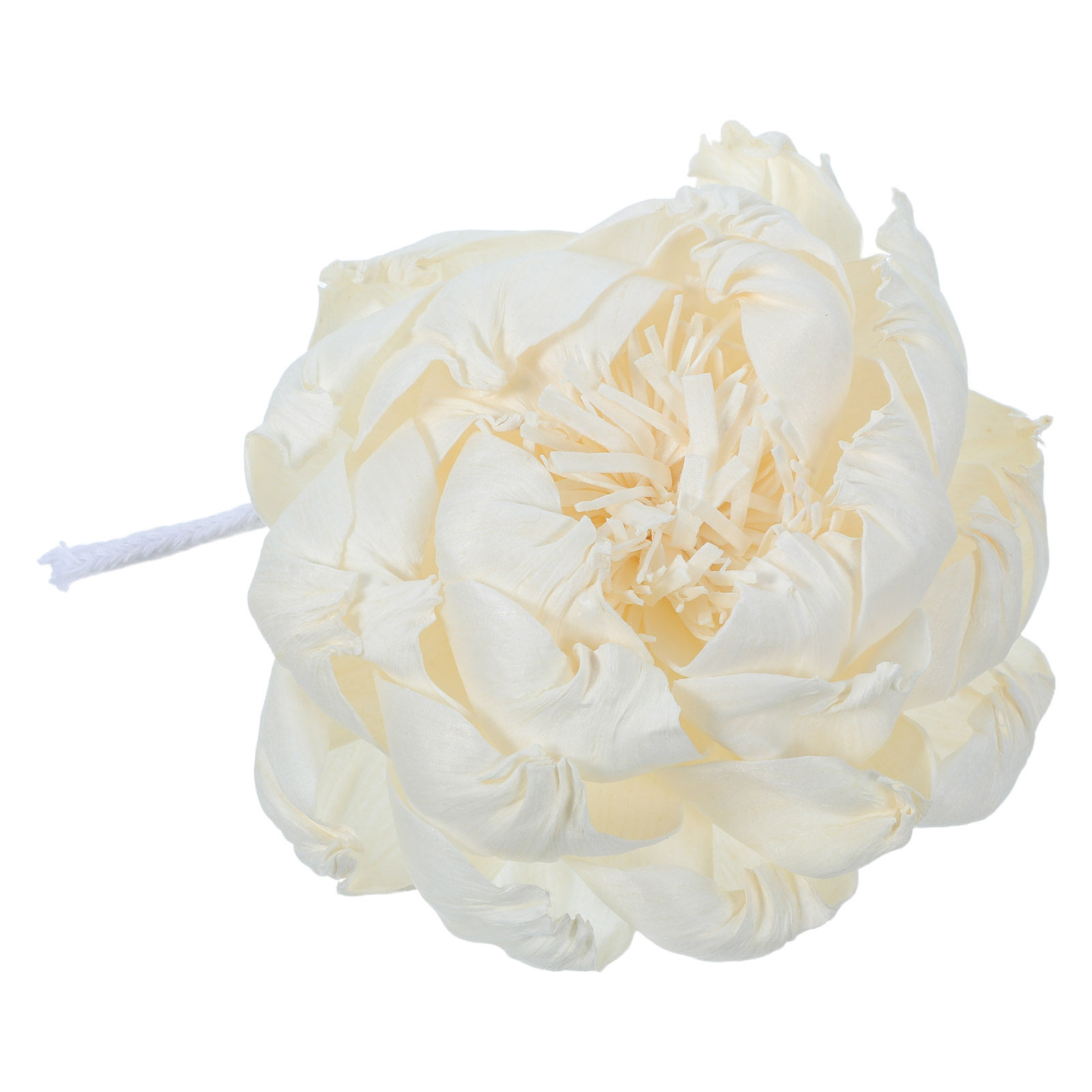เครื่องกระจายกลิ่นหอมดอกโบตั๋น - Home Fragrance And Diffuser บทวิจารณ์และราคา