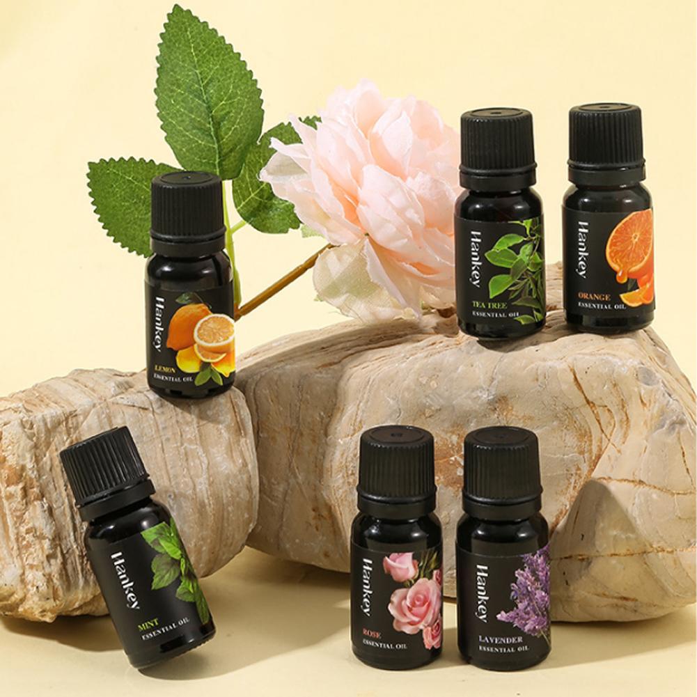 ชุดน้ำมันหอมระเหยจากพืชธรรมชาต - Home Fragrance Aroma Set บทวิจารณ์และราคา