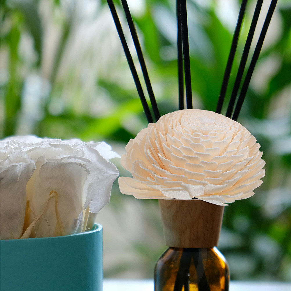 หัวดอกไม้สำหรับเครื่องกระจายกล - Home Fragrance And Diffuser บทวิจารณ์และราคา