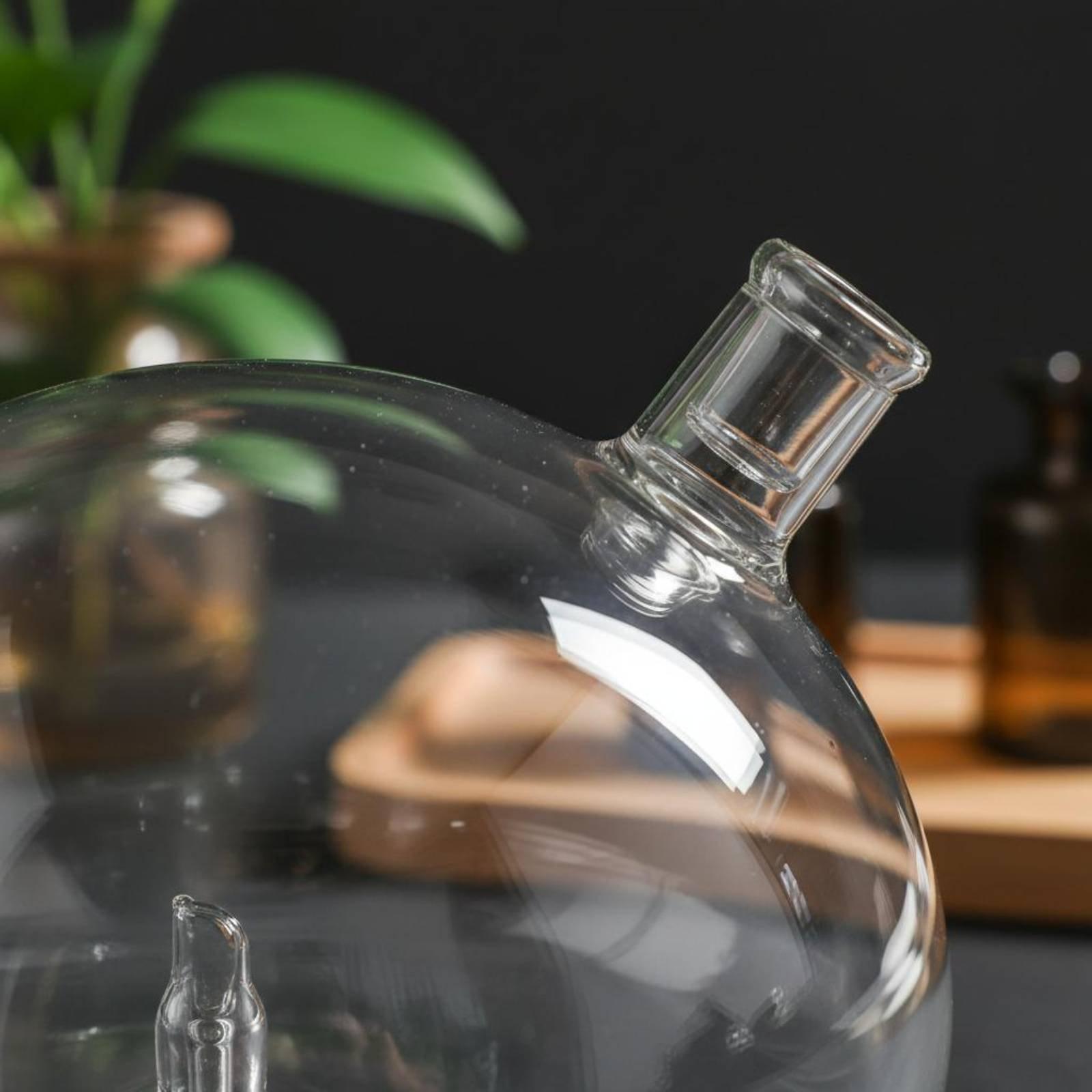 ขวดดิฟฟิวเซอร์แบบแก้ว ใช้แทนได - Home Fragrance And Diffuser บทวิจารณ์และราคา